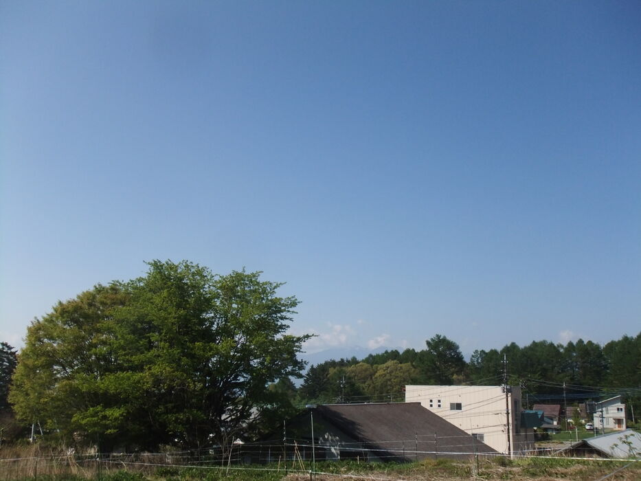 画像1351
